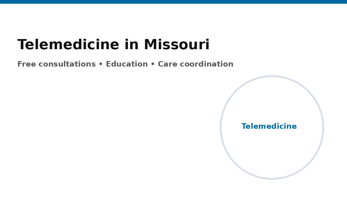 Telemedicine consultation overview